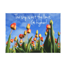 The Sky is Not the Limit Canvas Wall Art Gallery Wrap Canvas