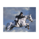 The Sky's The Limit Postcard