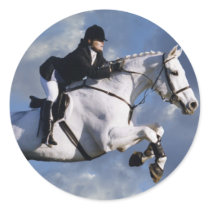 The Sky's The Limit Sticker