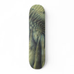 The Sleeping Nautilus Skateboard