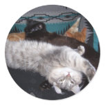 the sleepy bunch stickers