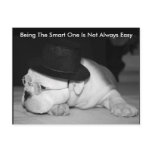 "The Smart One"...English Bulldog Puppy postcards