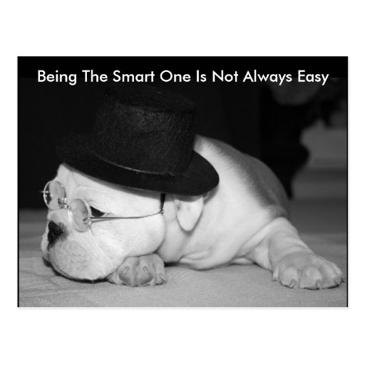 "The Smart One"...English Bulldog Puppy Postcard