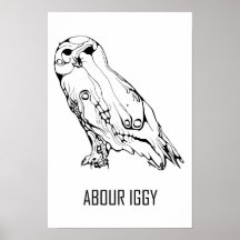 The Snow Owl Posters