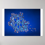 The Snowflake Melting On The Warm Wind posters