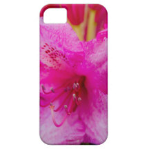 The solitary pink flower iPhone 5 cases