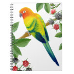 The Solitary Sun Conure Parrot Notebook