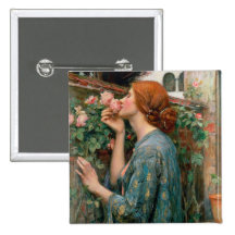 The Soul of the Rose, 1908 Buttons