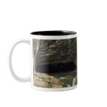 The Source of the Loue or La Grotte Sarrazine mugs