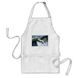 The Southern Alps Aprons