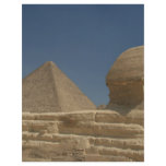 The Sphinx flyers