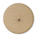 The Spider Magnet