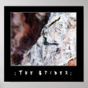 The Spider posters