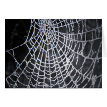 The spider web greeting cards