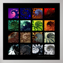 The spiral variations