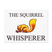 The Squirrel Whisperer