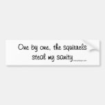 The squirrels steal my sanity bumper sticker