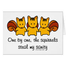The squirrels steal my sanity cards