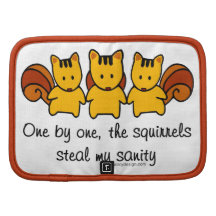 The squirrels steal my sanity folio planner