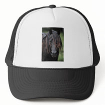 The Stallion Hats