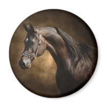 The Stallion Fridge Magnets