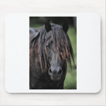 The Stallion Mousepads