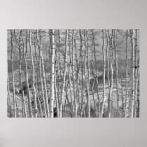 The Stand in White Posters