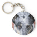 The Stare Down - a cowdog look keychains
