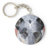 The Stare Down - a cowdog look keychains
