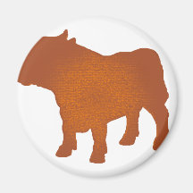 The Stare Fridge Magnet
