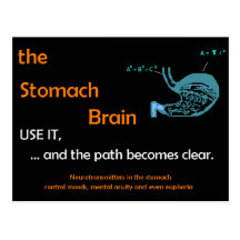 The Stomach Brain Postcard