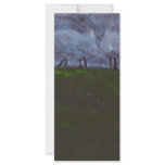 THE STONE CIRCLE CUSTOM RACK CARDS