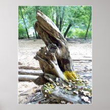 The Stump Print