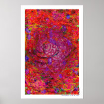 The Sudden Birth Of Stars Posters