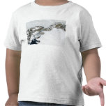 The summer thaw t-shirt
