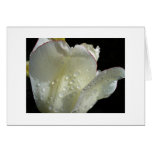 The Sun Comes Out Greeting Card