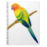 The Sun Conure Parrot Notebook