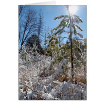 The Sun is Bright Greeting Card