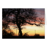 The Sun Peaking in the Sky Card