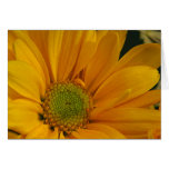 The Sun will shine a little brighter tomorrow! Card