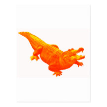 THE SUNNY GATOR POST CARDS