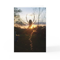 The Sunset Greeting Card