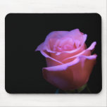 The Sweetest Flower that Blows... Mouse Pad