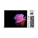 The Sweetest Flower that Blows... postage