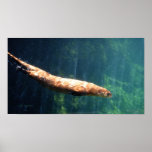 The Swimming Machine Print