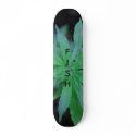 The Swiss Cheese Underground skateboards