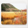 The Tarn Mousepads