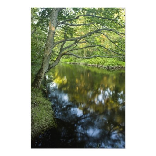 The Taunton River in Bridgewater, 2 Photo