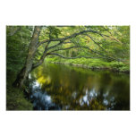 The Taunton River in Bridgewater, Photograph