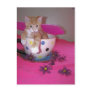 The tea cup fairy
